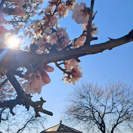 Wohlfuehl & Wellness Oase Neustadt an der Weinstrasse