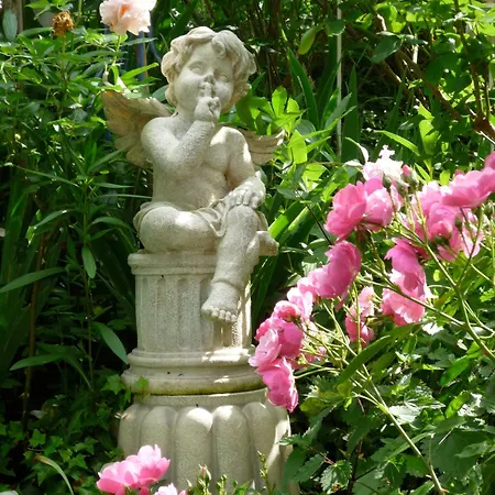 Wohlfuehl & Wellness Oase