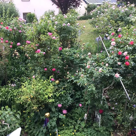 Apartment Wohlfuehl & Wellness Oase Neustadt an der Weinstrasse