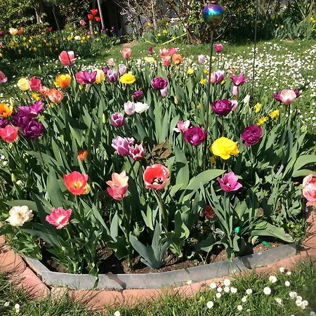 Wohlfuehl & Wellness Oase Апартаменты *