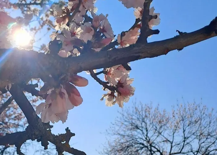 Wohlfuehl & Wellness Oase Neustadt an der Weinstraße