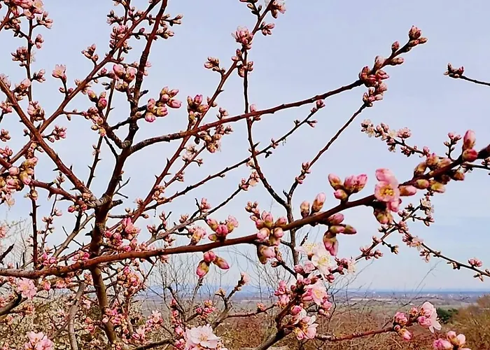 Wohlfuehl & Wellness Oase Apartmán Neustadt an der Weinstraße