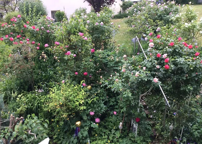 Apartmán Wohlfuehl & Wellness Oase Neustadt an der Weinstraße