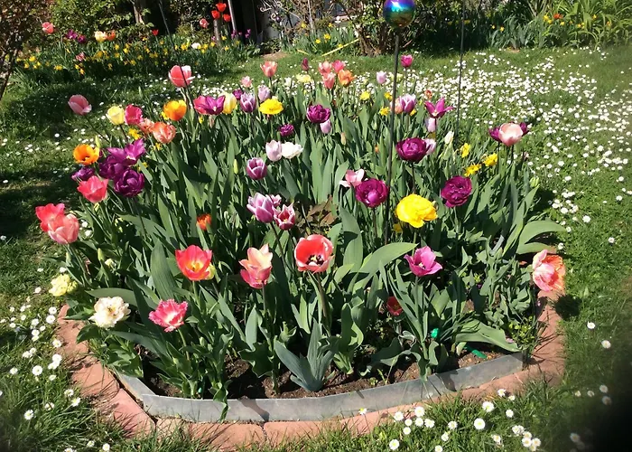 Wohlfuehl & Wellness Oase 公寓 *